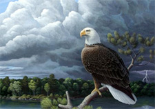 eaglestorm